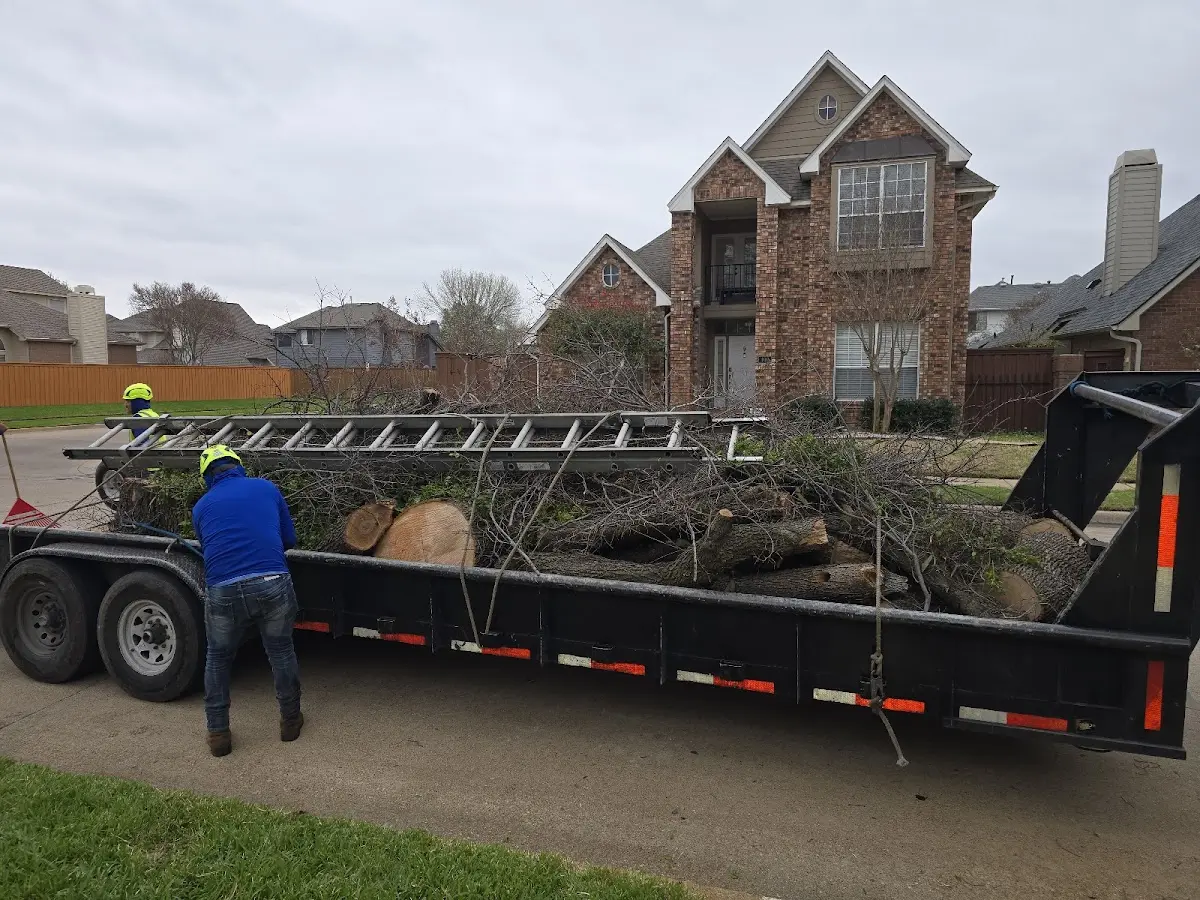 Expert Tree Removal with proper safety equipment in Matfield Green